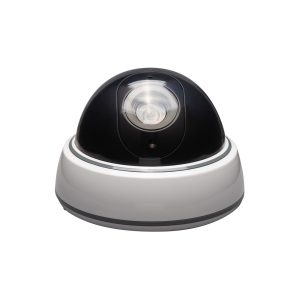 Fake Dome Security Camera